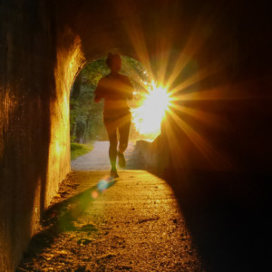 Evening run