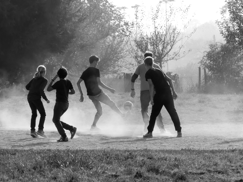 Backyard football