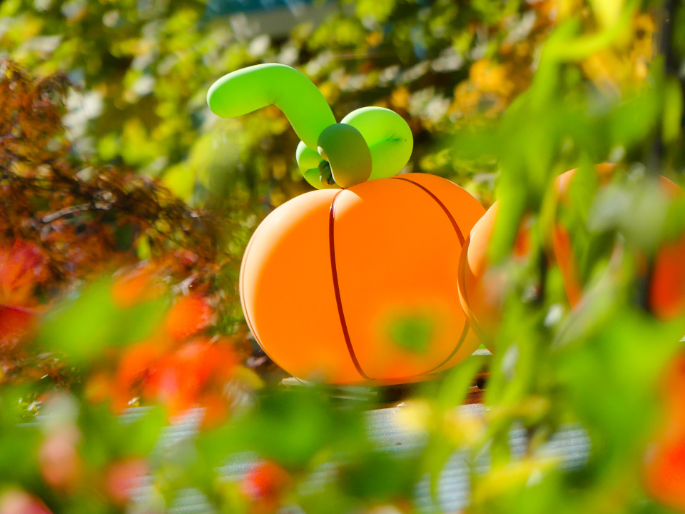 A balloon pumpkin