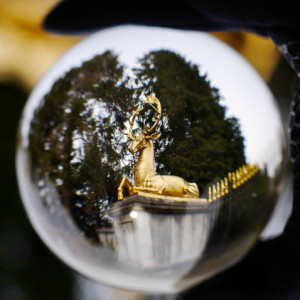 A Golden Deer