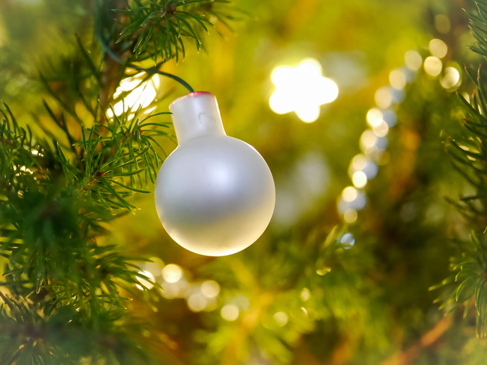 In holiday spirit