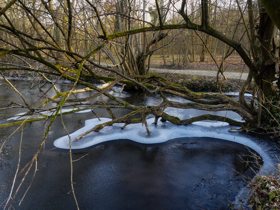 Still very cold