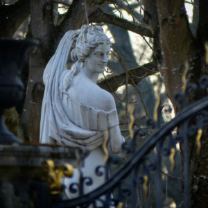Behind the gate