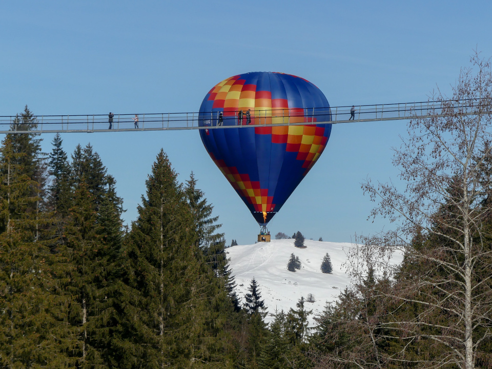 Ballon Fiesta