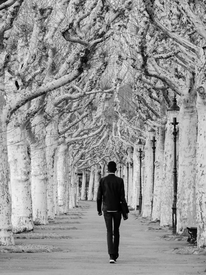 A lone walker