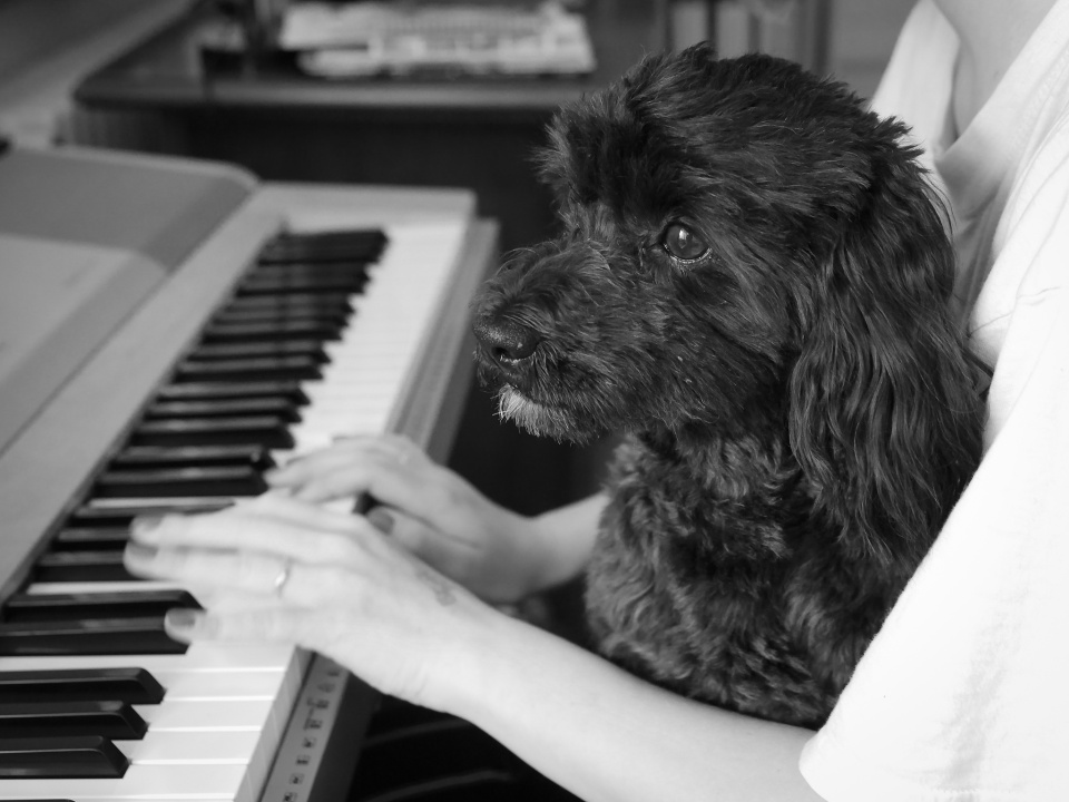 Piano lessons