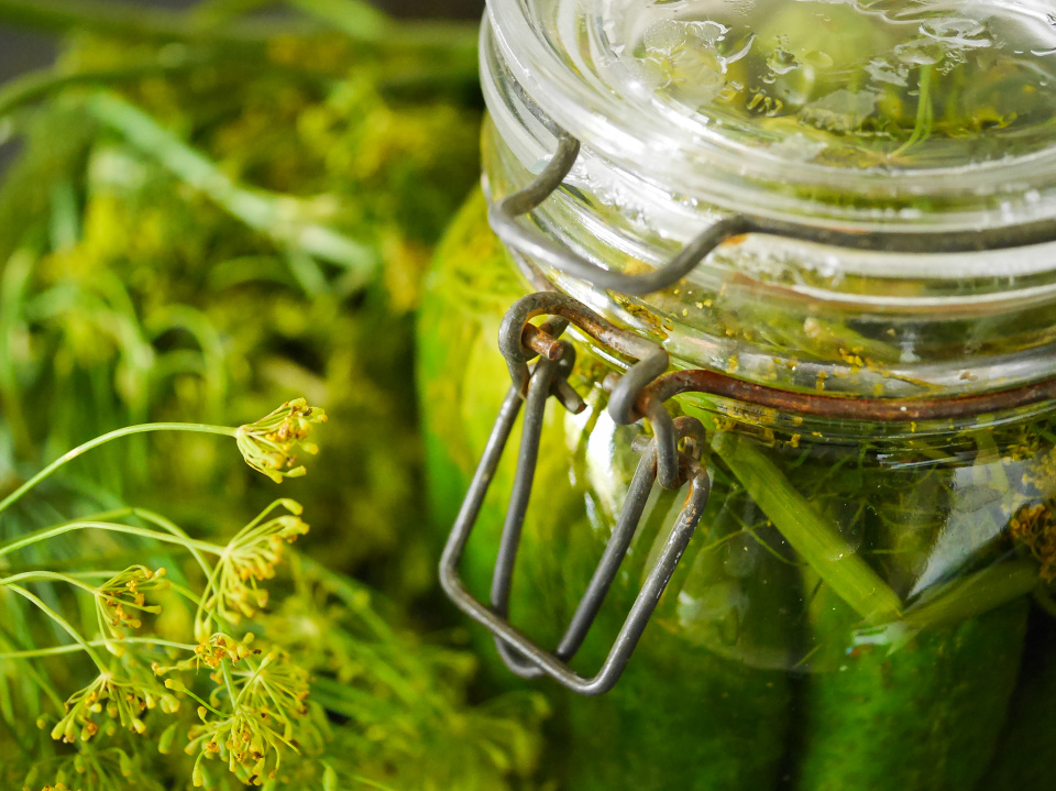 Taste of Polish summer in a jar