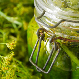 Taste of Polish summer in a jar
