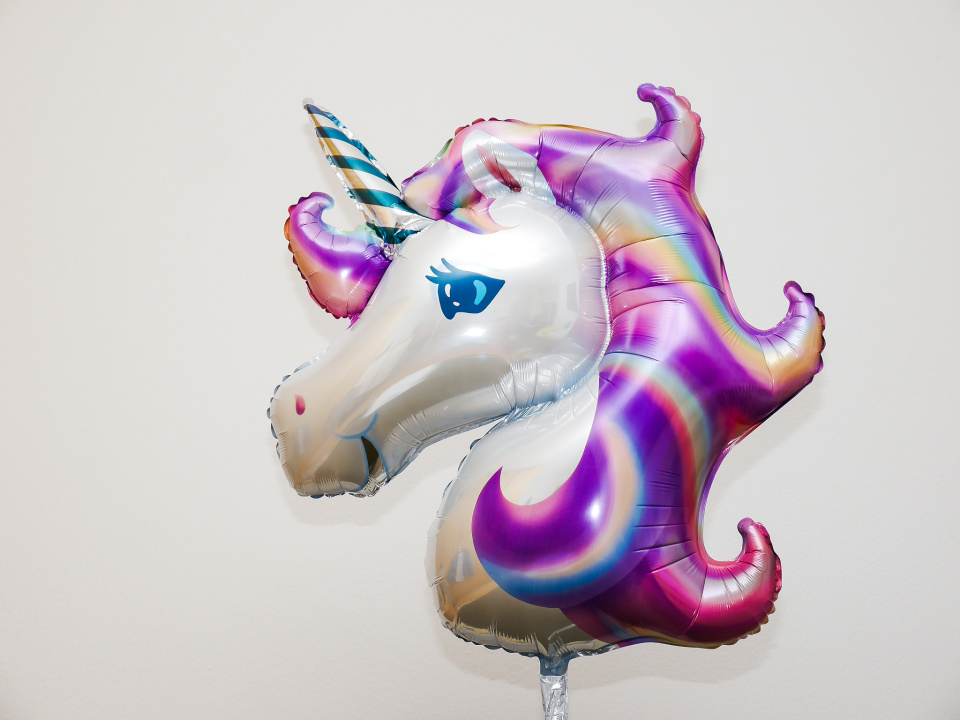 You are never too old for a unicorn!