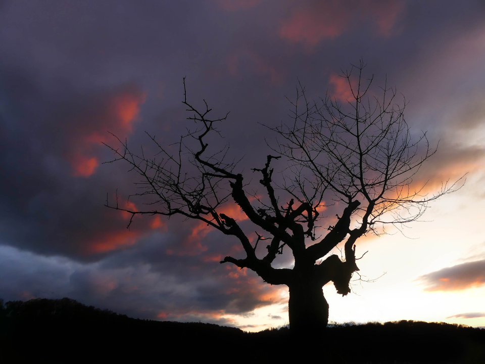  Sunset and an old ...