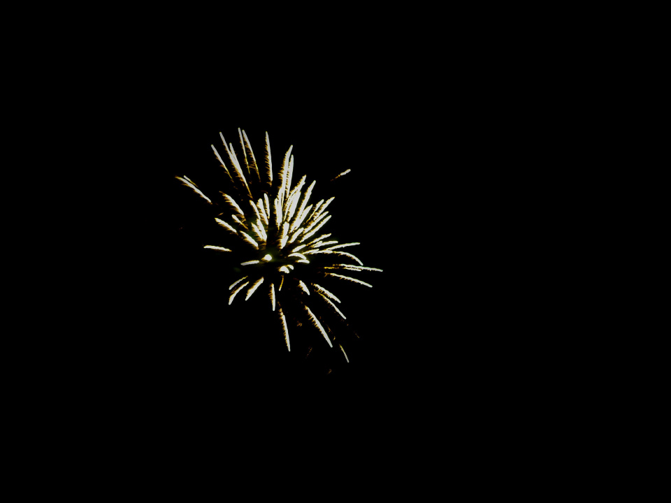 Happy New Year!