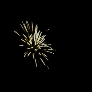 Happy New Year!