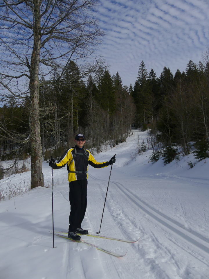 Cross country skiing in Black Forest