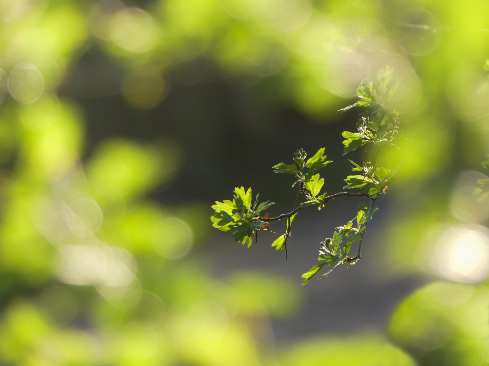  It's getting green. It's ...