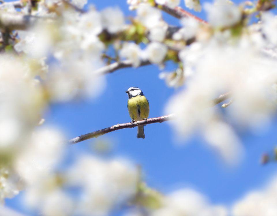  Beautiful spring day