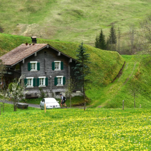 Spring in the mountains