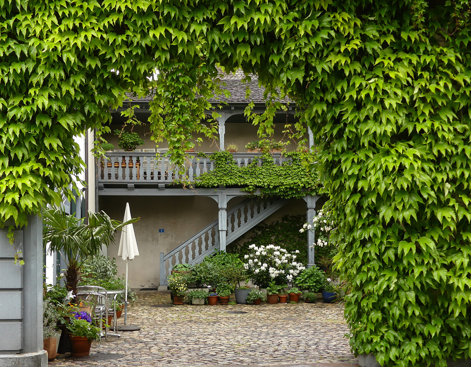 A green oasis