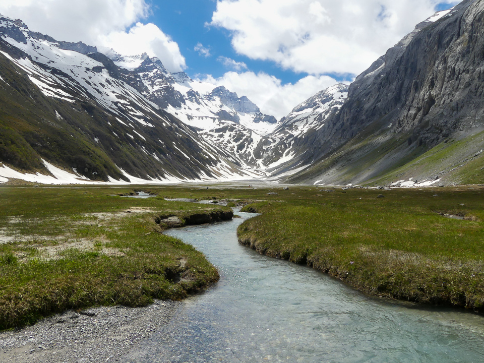 Val Frisal