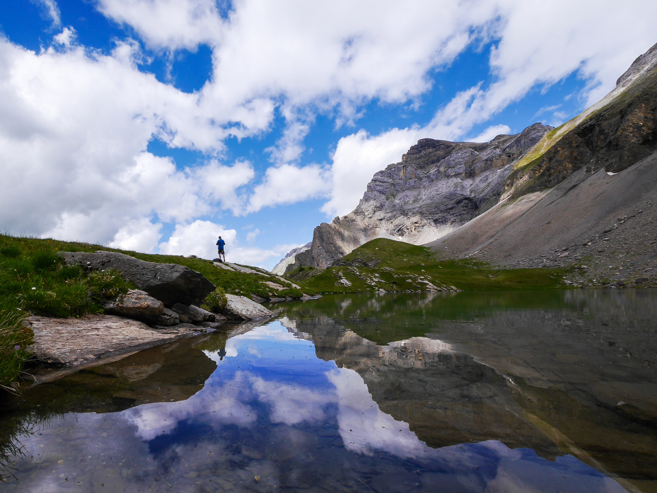 Amazing Fluhsee