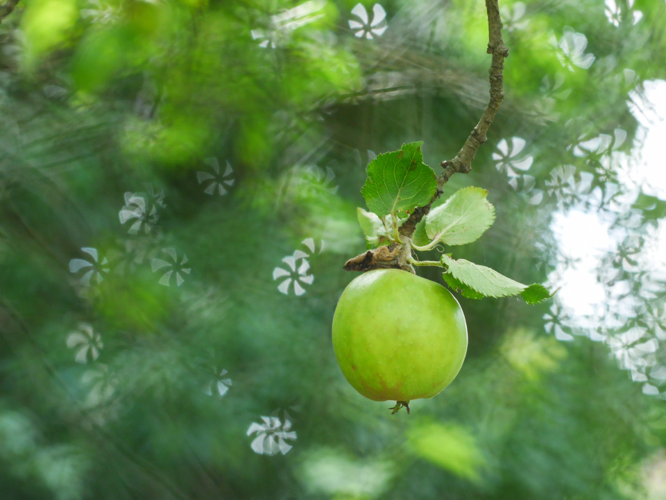 Bokeh filters.