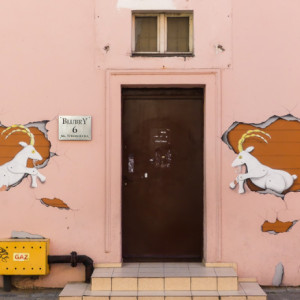 Poznan Goats