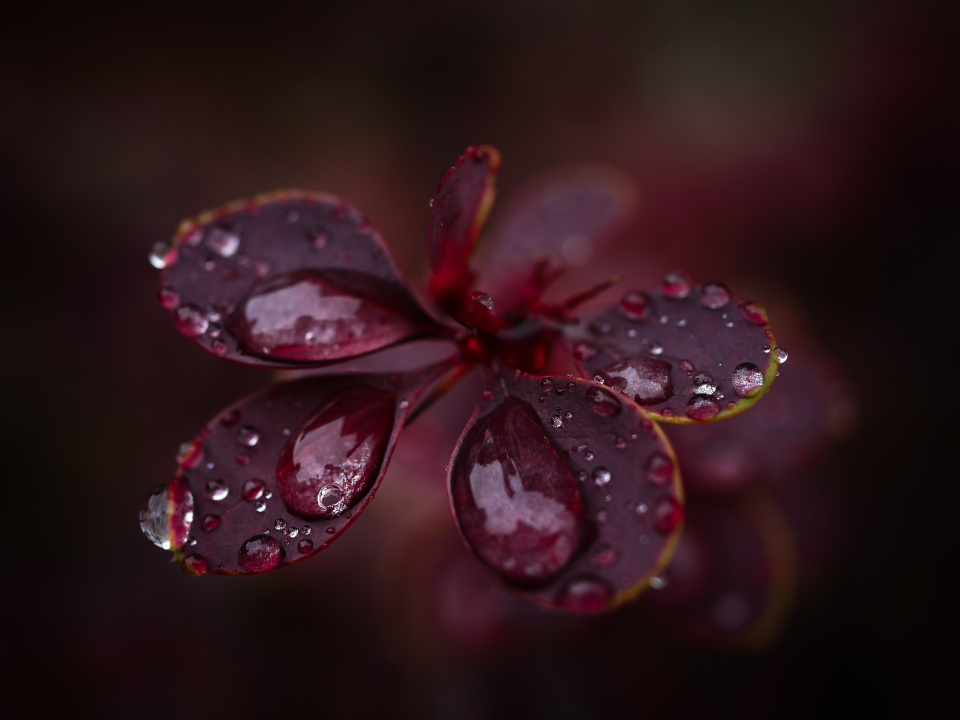 Rain rain rain