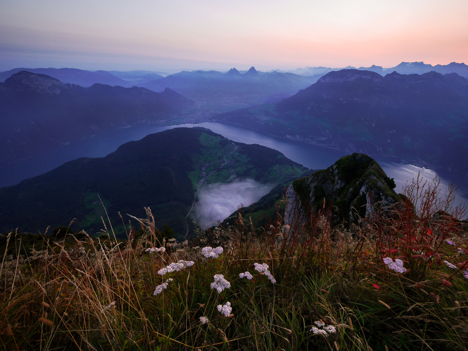 Morning has broken ...