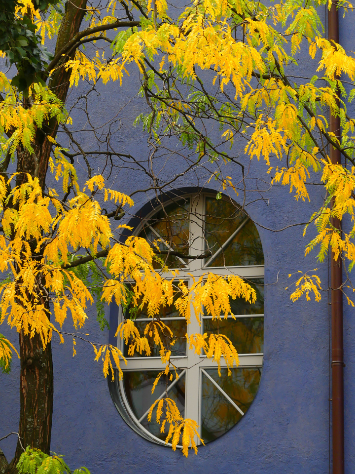Autumn