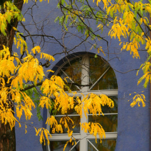 Autumn