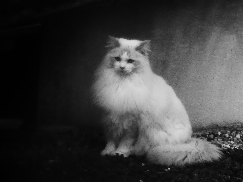 Lost in thought