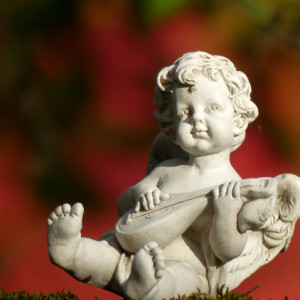 Mandolin player