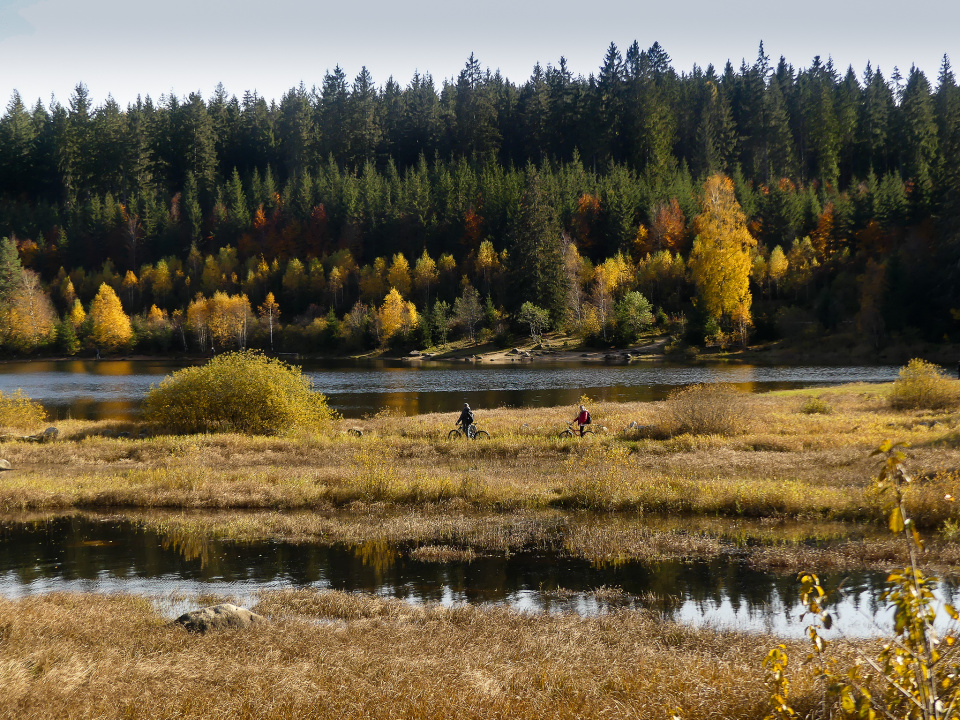 Golden autumn