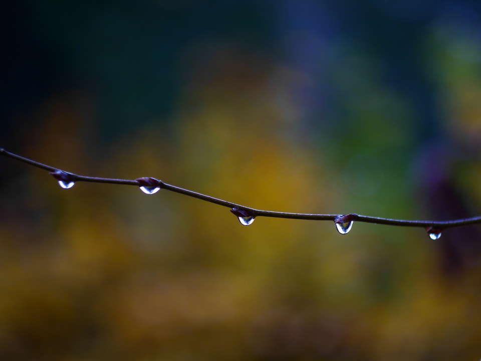 Rainy day