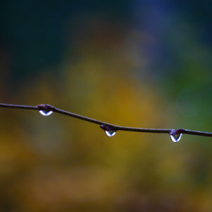 Rainy day