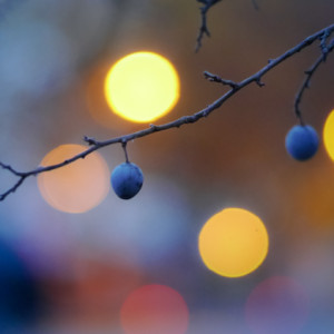 A bit of colour