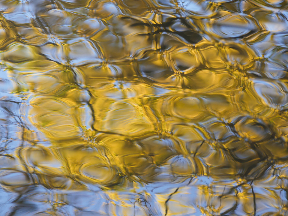 Autumn reflections