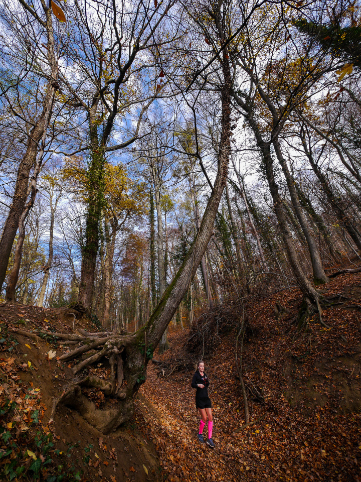 Forest runner