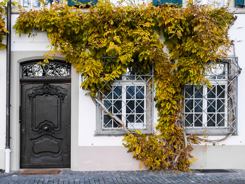 Autumn in Basel