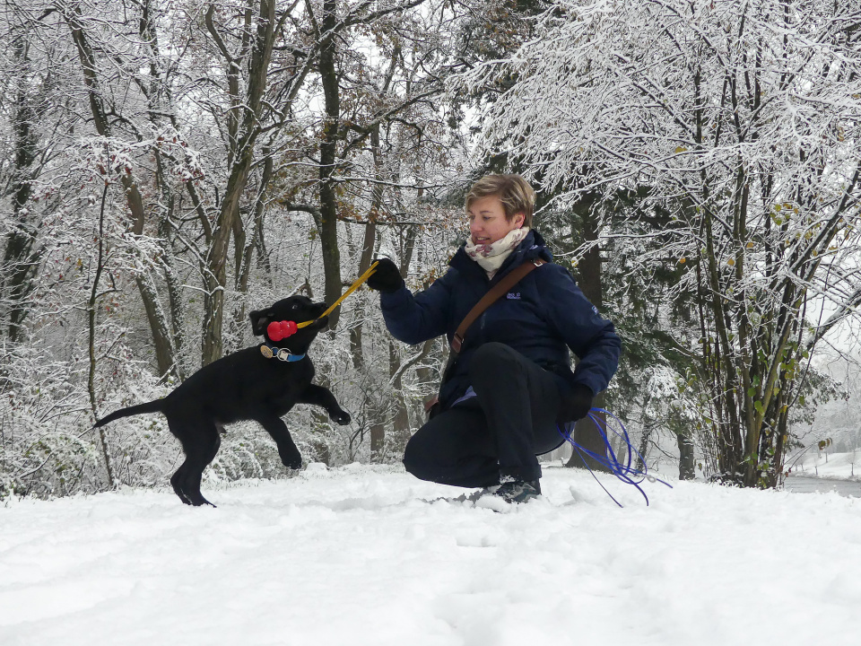 Lucky & the snow
