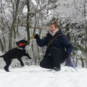 Lucky & the snow