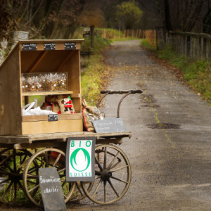 Xmas stand