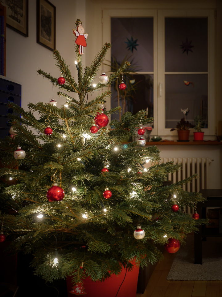 Xmas tree
