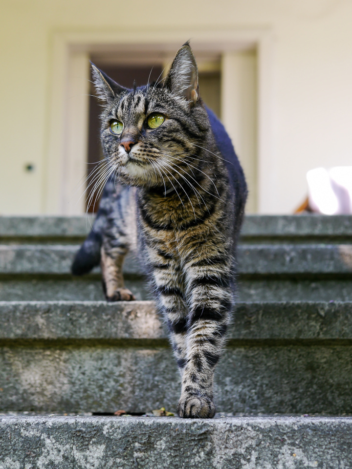 Time to explore the garden