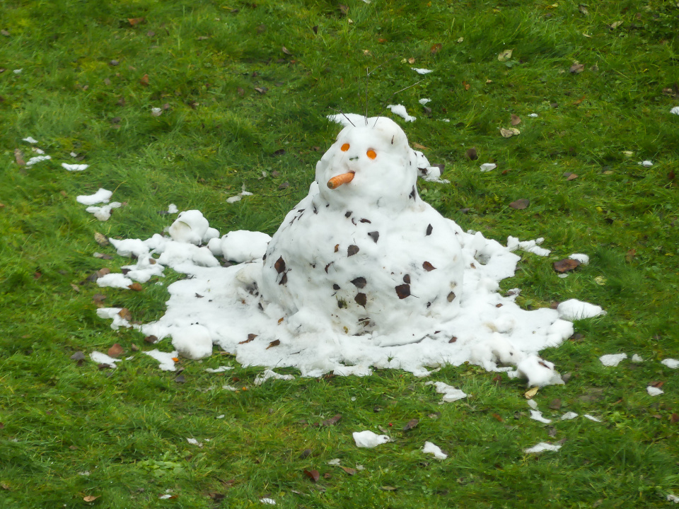  First snow of 2021 ...