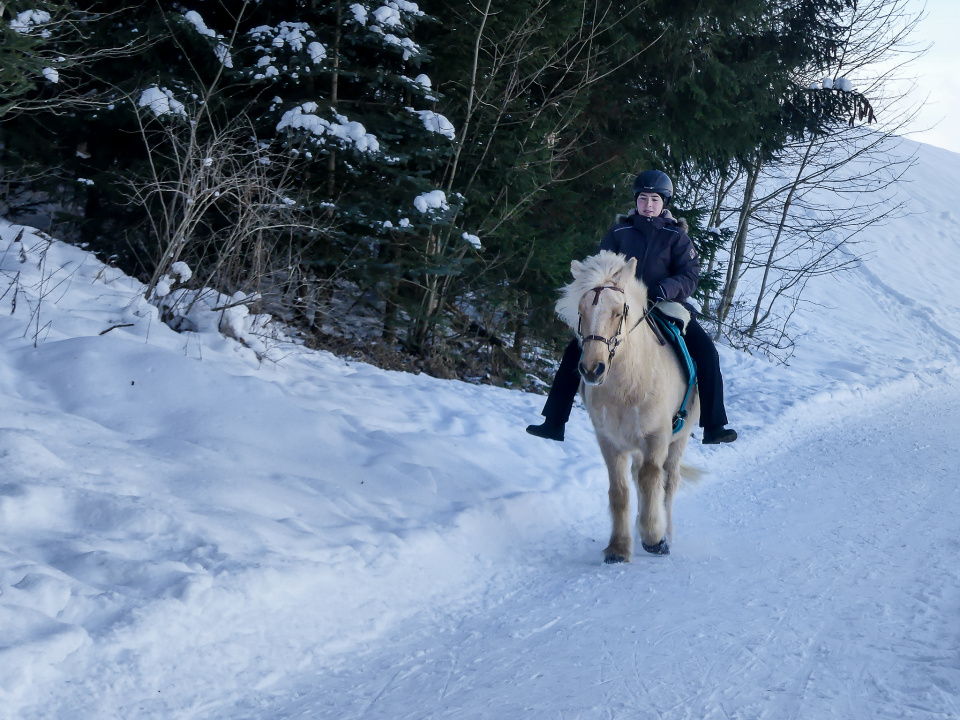 Winter fun