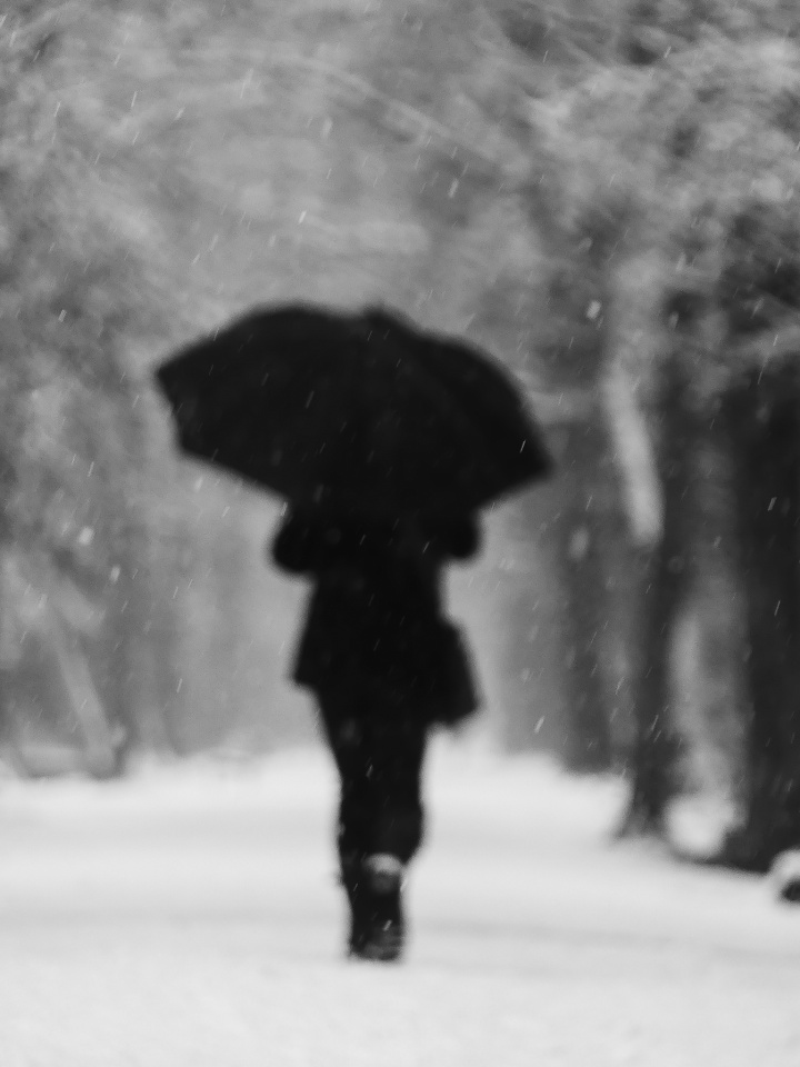 Snowy day