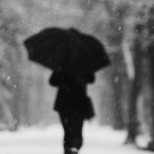 Snowy day