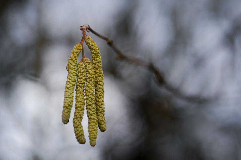 Spring is on the way
