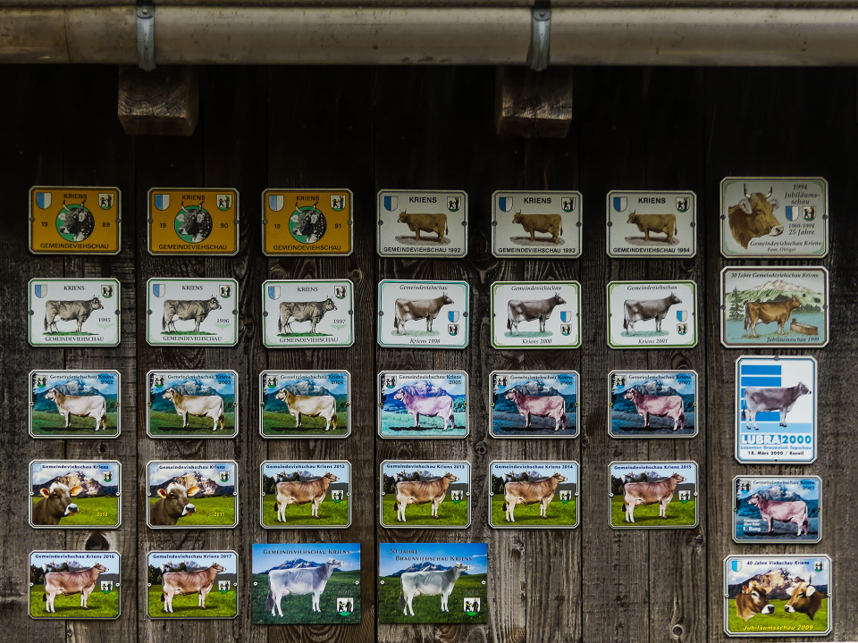 A proud milk producer