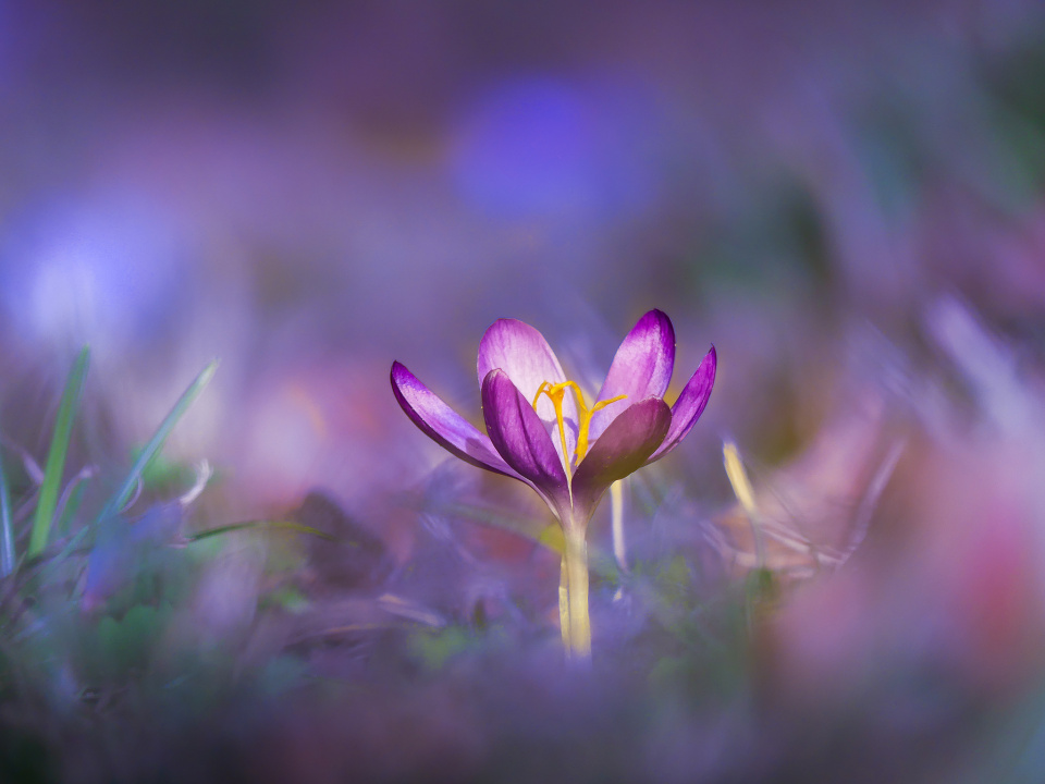 Spring is here!
